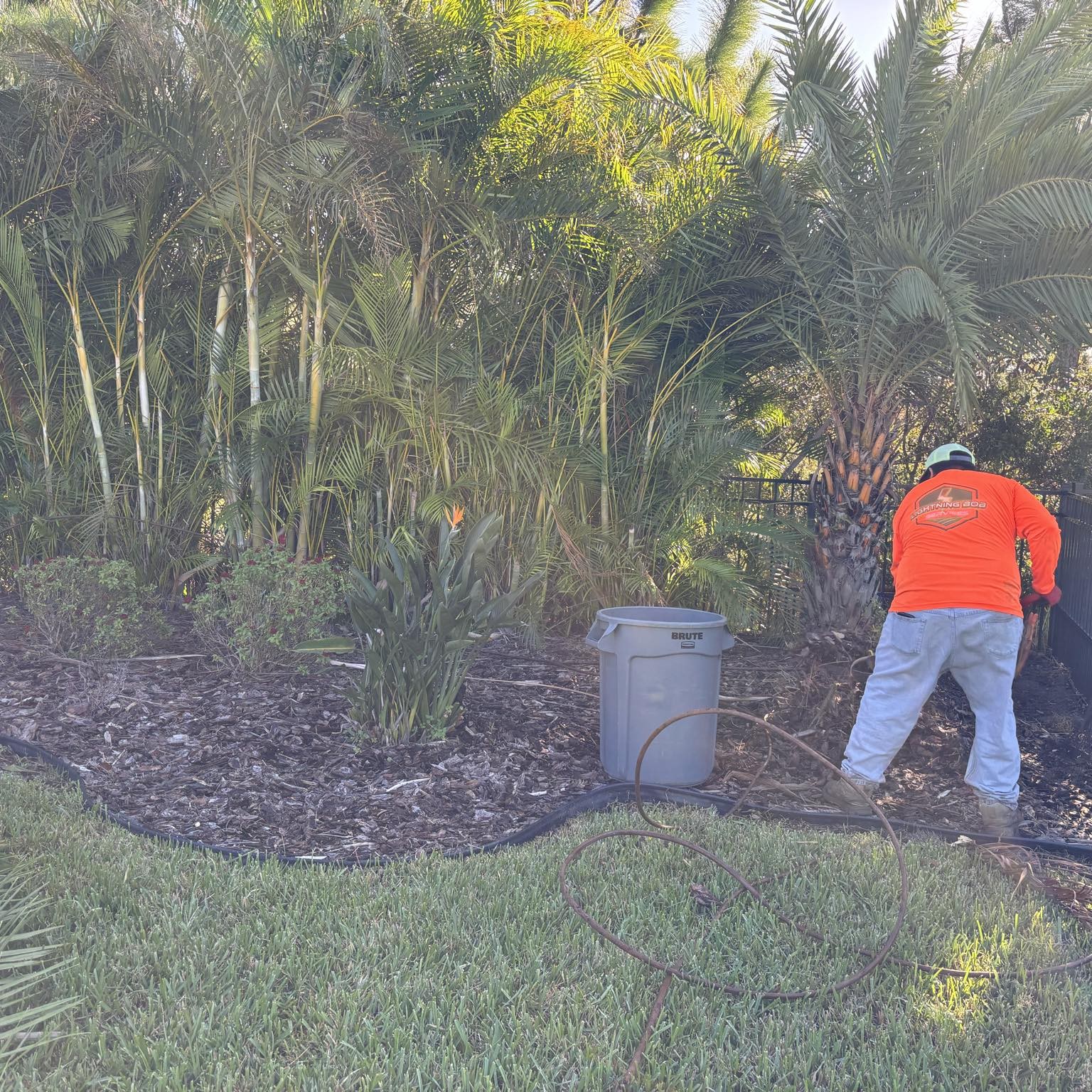 Shrub and tree care